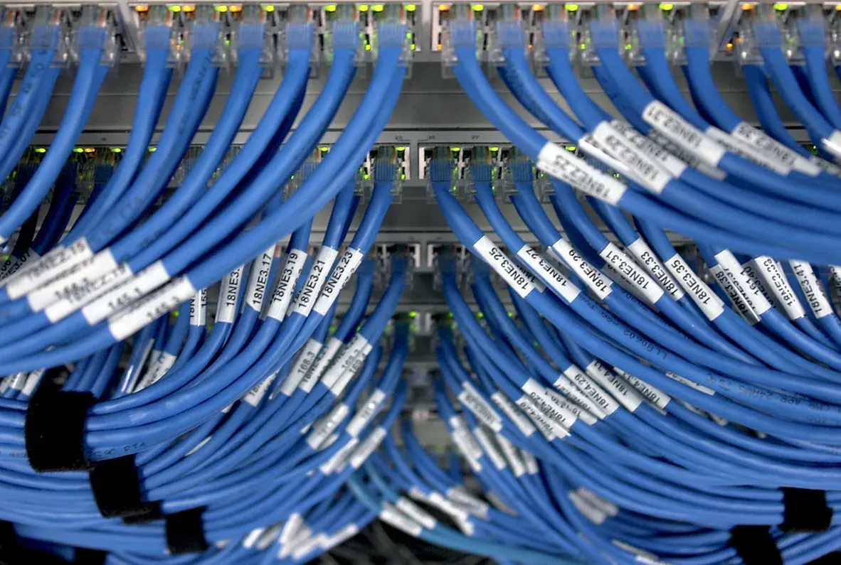 Blue patch cables bundled into a network switch